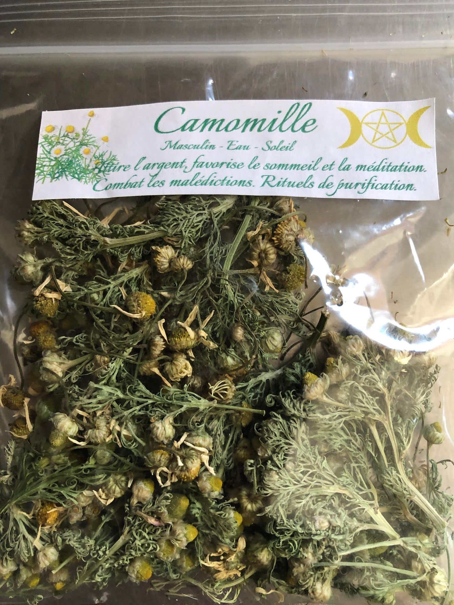 Camomille (matricaire odorante)