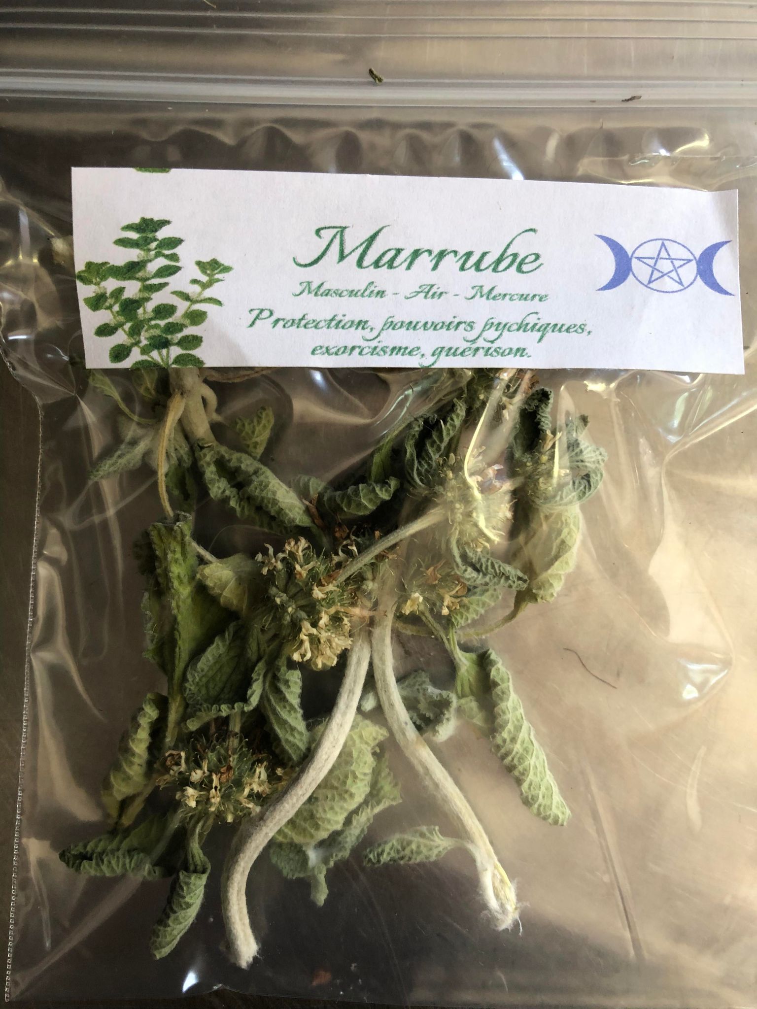 Marrube blanc