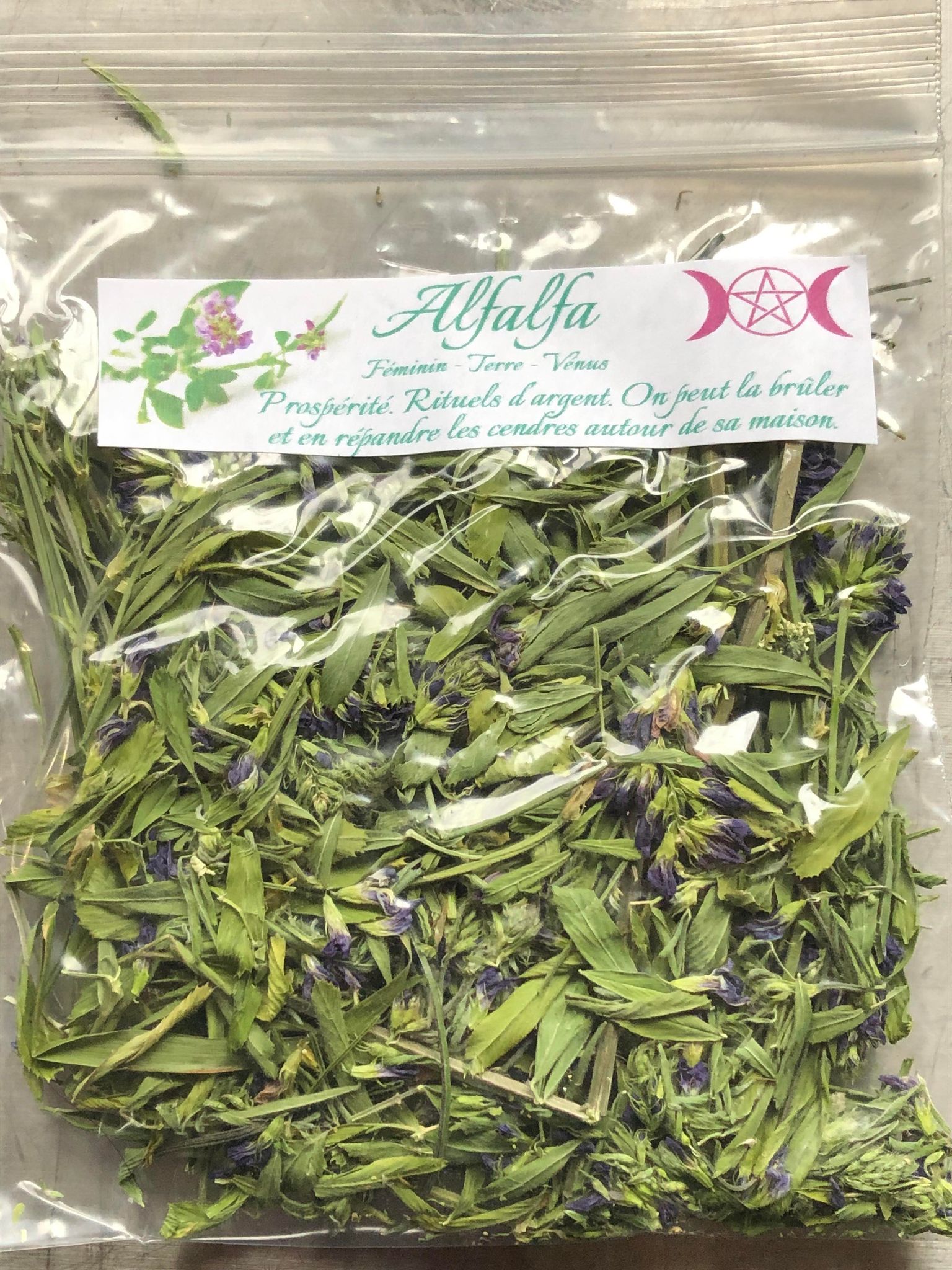 Alfalfa (luzerne)