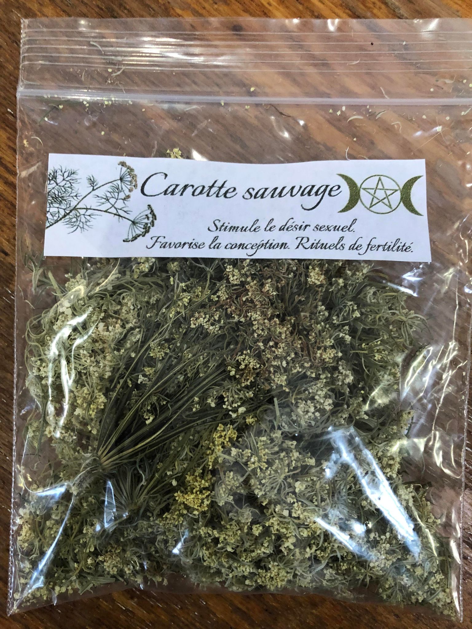 Carotte sauvage (fleurs)