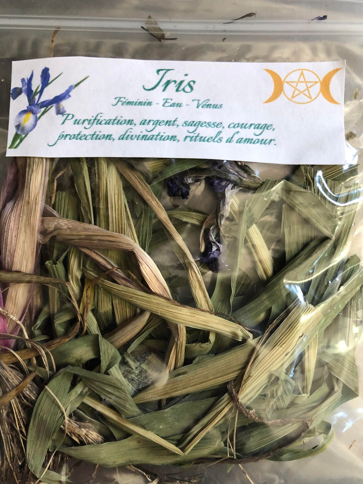 Iris