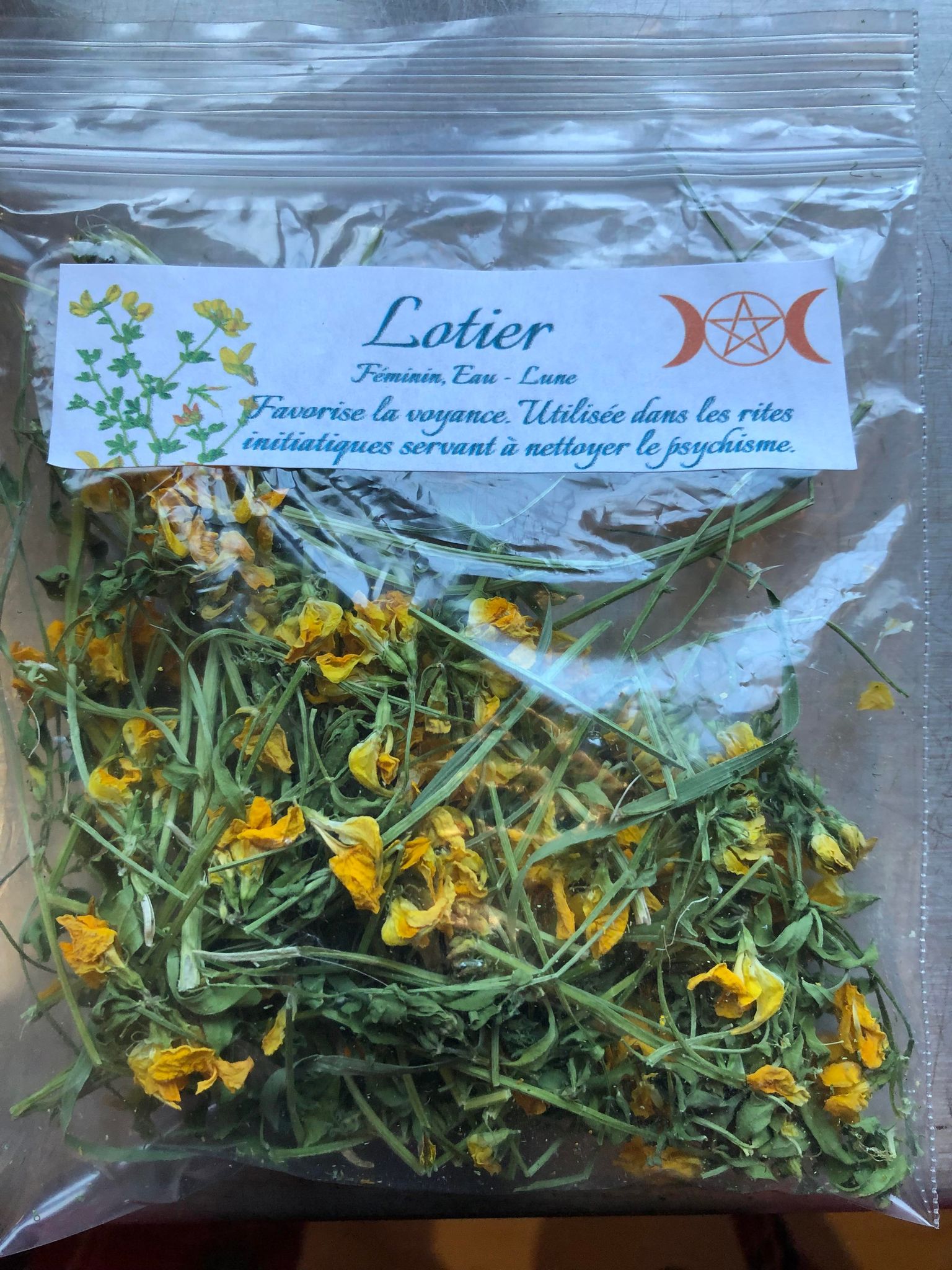 Lotier cornicule
