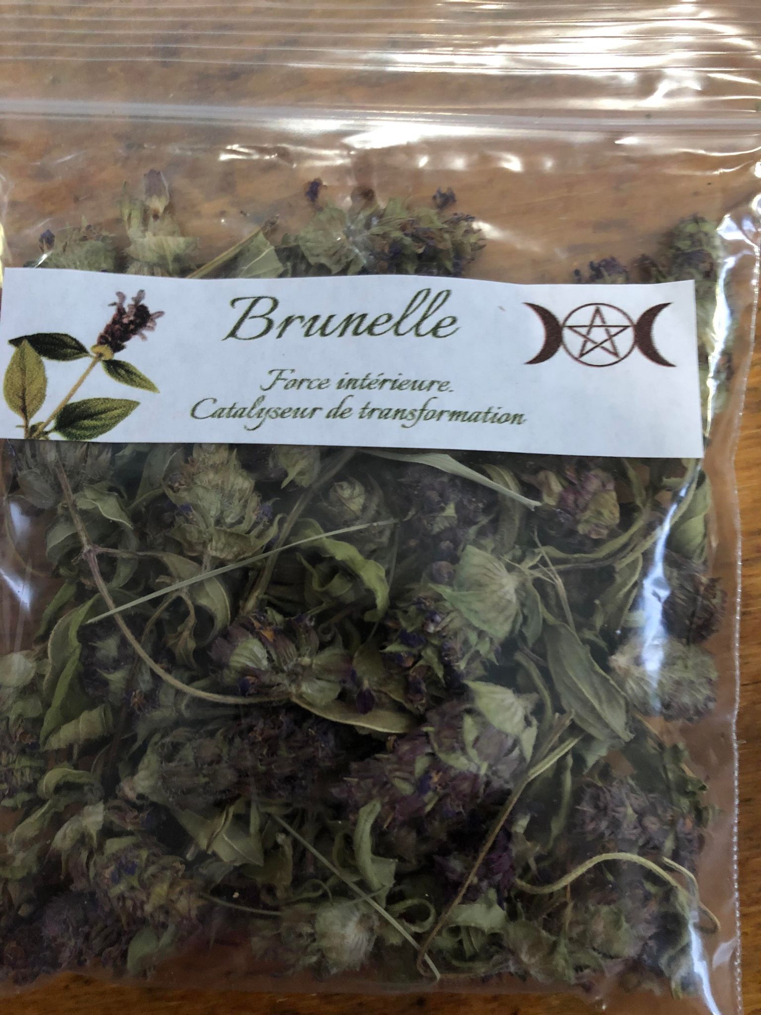 Brunelle (prunella vulgaris)