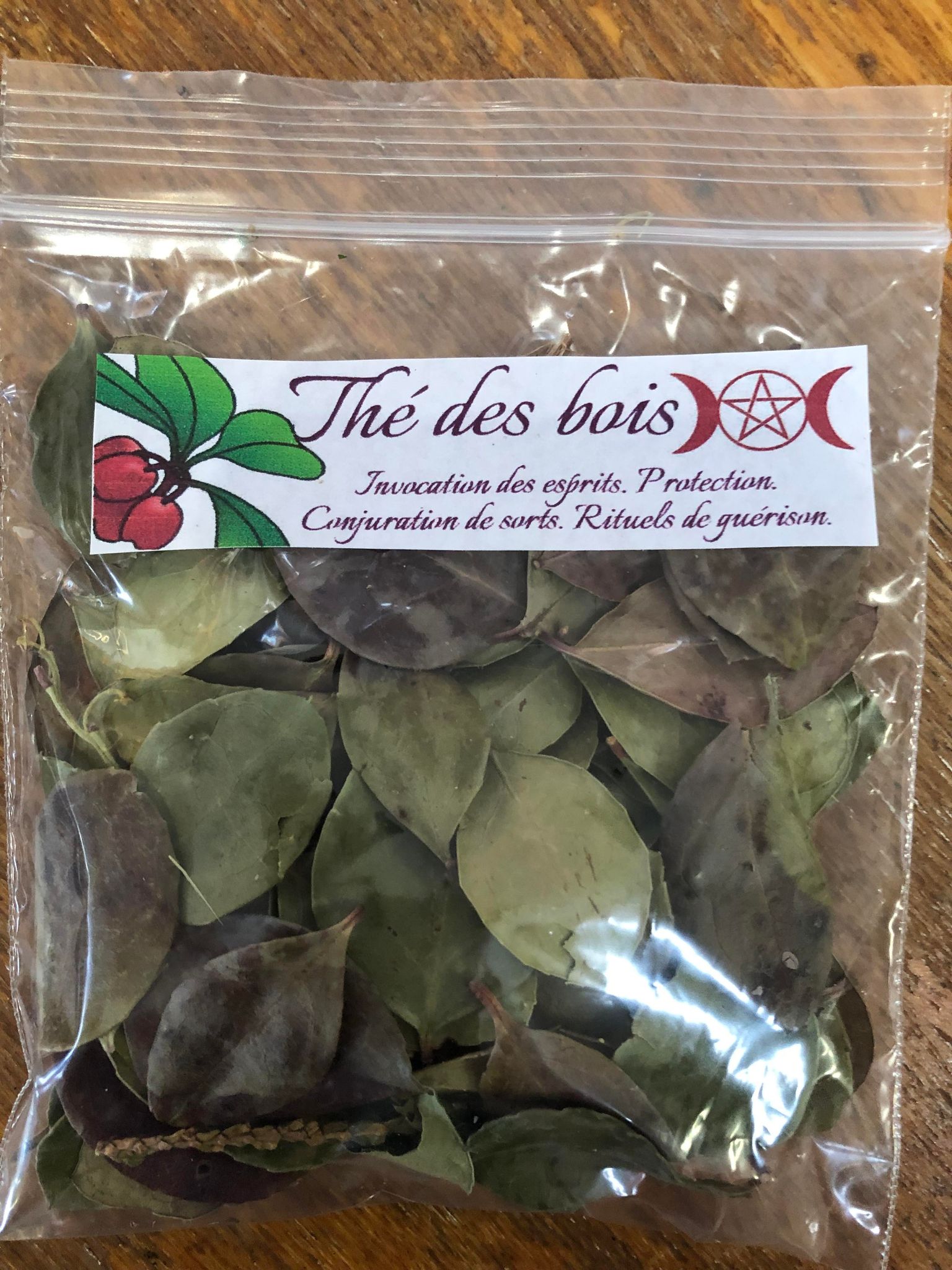 Gaultherie couchee (the des bois)