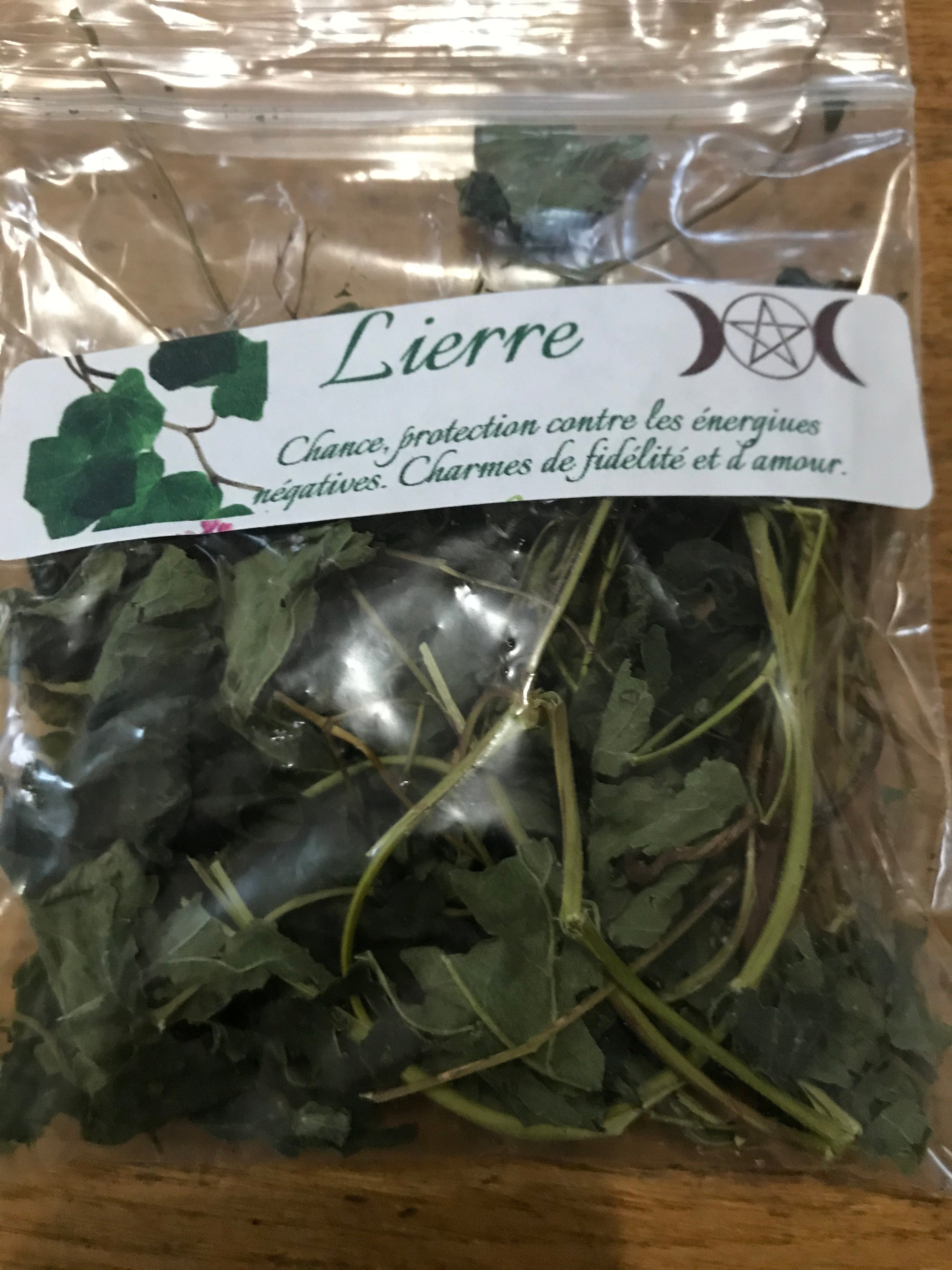 Lierre