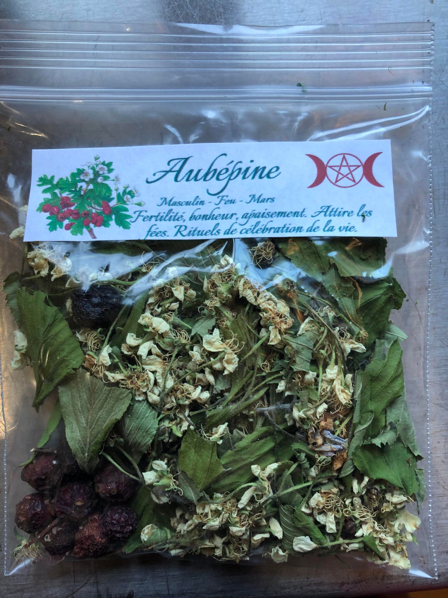 Aubepine (fleurs et fruits)